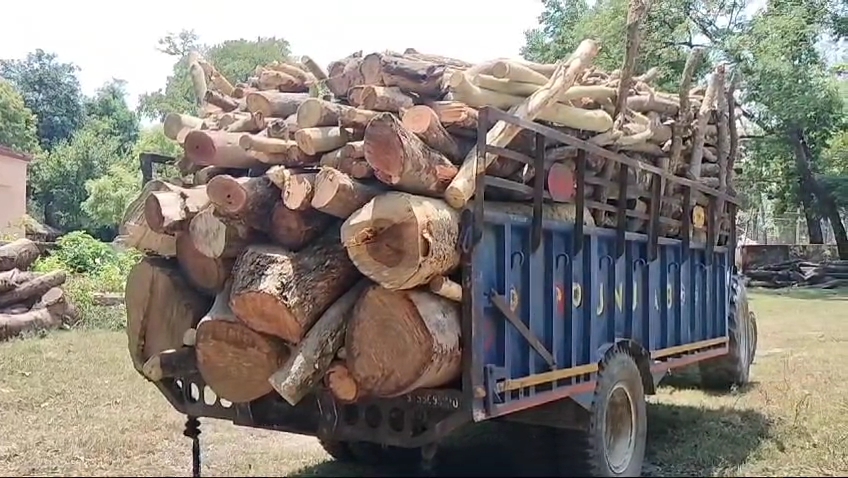 ✍️✍️खटीमा रेंज की वन विभाग टीम ने किलपुरा रेंज से अवैध रूप से काटकर ले जाई जा रही लकड़ी से भरी ट्रैक्टर ट्राली को पकड़ा, किलपुरा रेंज के वन आधिकारिक व कर्मचारी कुंभकरण की नींद सोते रहे 👉