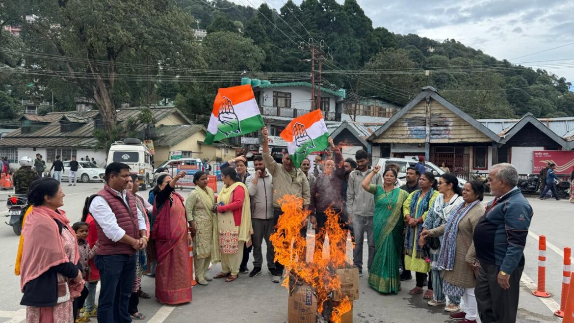 ✍️कांग्रेस पार्टी के आह्वान पर भाजपा सरकार का पुतला दहन किया👉