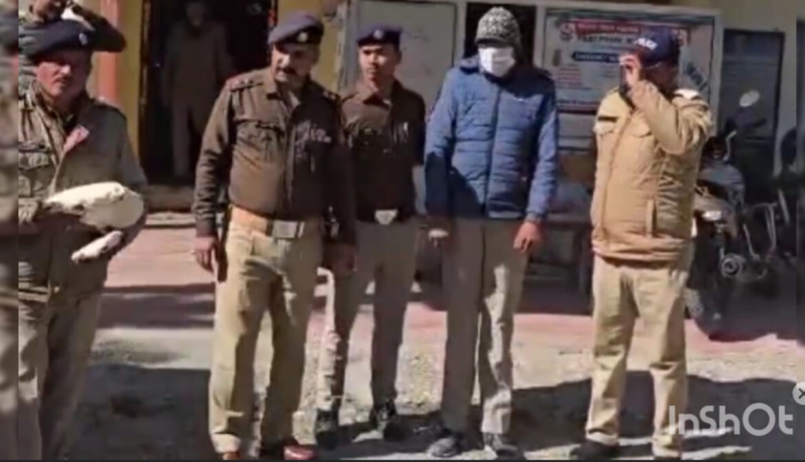 ✍️1 किलो 867 ग्राम चरस के साथ खेतीखान का युवक गिरफ्तार👉