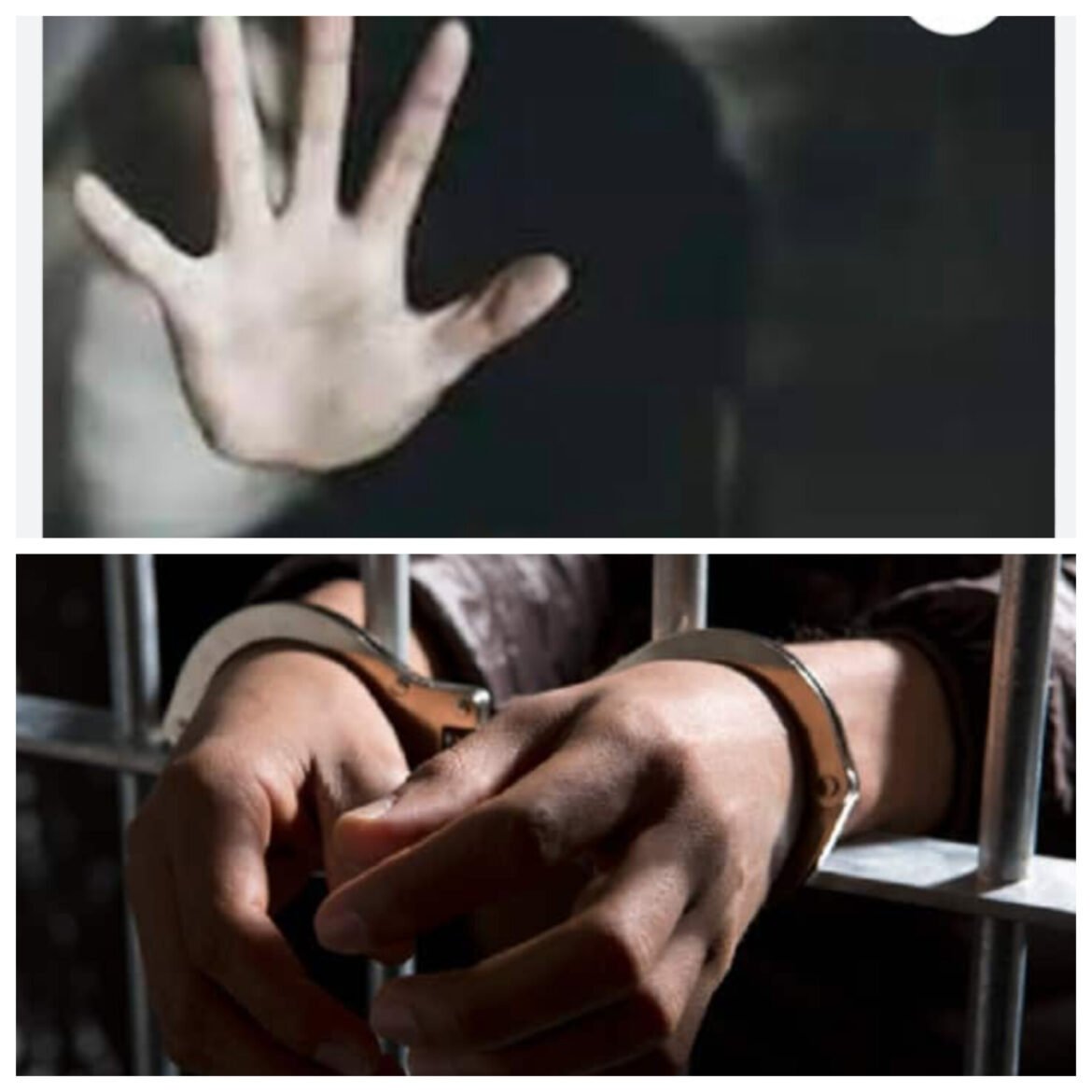 ✍️समुदाय विशेष मेडिकल व्यवसायी ने नाबालिक के साथ दुष्कर्म का किया प्रयास। पुलिस ने मुकदमा पंजीकृत कर आरोपी को भेजा जेल👉