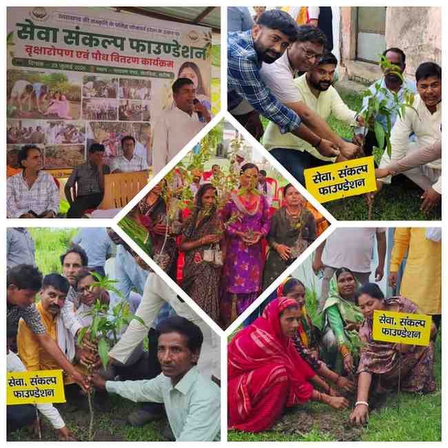 ✍️हरेला पखवाड़े पर सेवा संकल्प फाउंडेशन का हरित अभियान, गीता धामी के निर्देशन में हुआ वृक्षारोपण👉